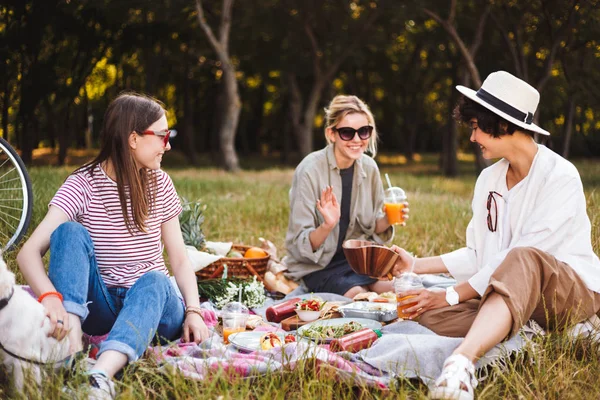 Güzel kız mutlu birlikte parkta güzel piknik üzerinde vakit piknik battaniye oturan grubu