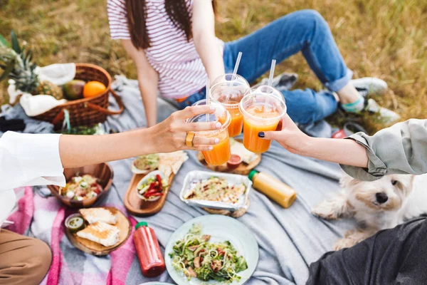 Close Foto Van Meisjes Hondje Gelukkig Tijd Doorbrengen Prachtige Picnic — Stockfoto