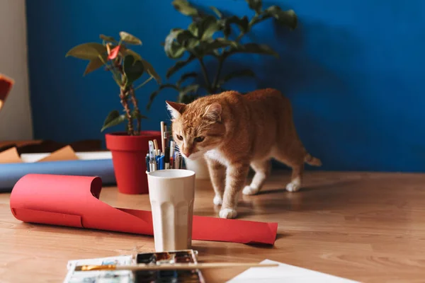 Close Curioso Gato Cheirando Vidro Com Ferramentas Pintura Chão Casa — Fotografia de Stock