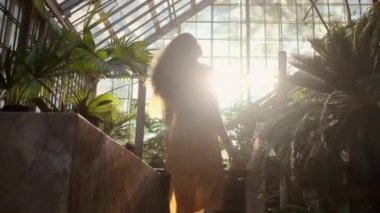 romantik elbise güzel uzun saçlı kız ilham verici çekim rüya gün batımında inanılmaz tropikal sera etrafında dönen