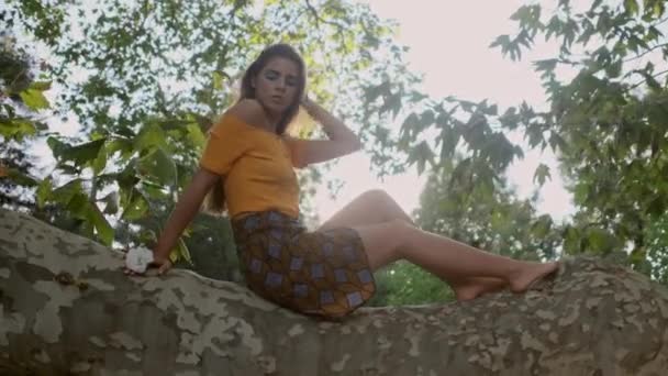 아름다운 소녀의 일몰에 오래된 정원에서 주위를 가지에 — 비디오