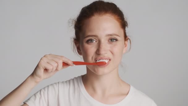 Portret Pięknej Dziewczyny Myjącej Zęby Przed Kamerą Szarym Tle — Wideo stockowe