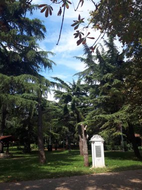 Fenerbahçe, Kadıköy, İstanbul, Türkiye 