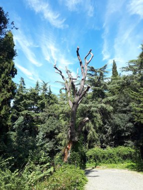 Nakkastepe, Uskudar, İstanbul, Türkiye 
