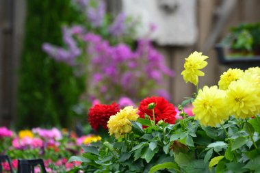 Kuzguncuk, Uskudar, İstanbul, Türkiye, Türkiye 