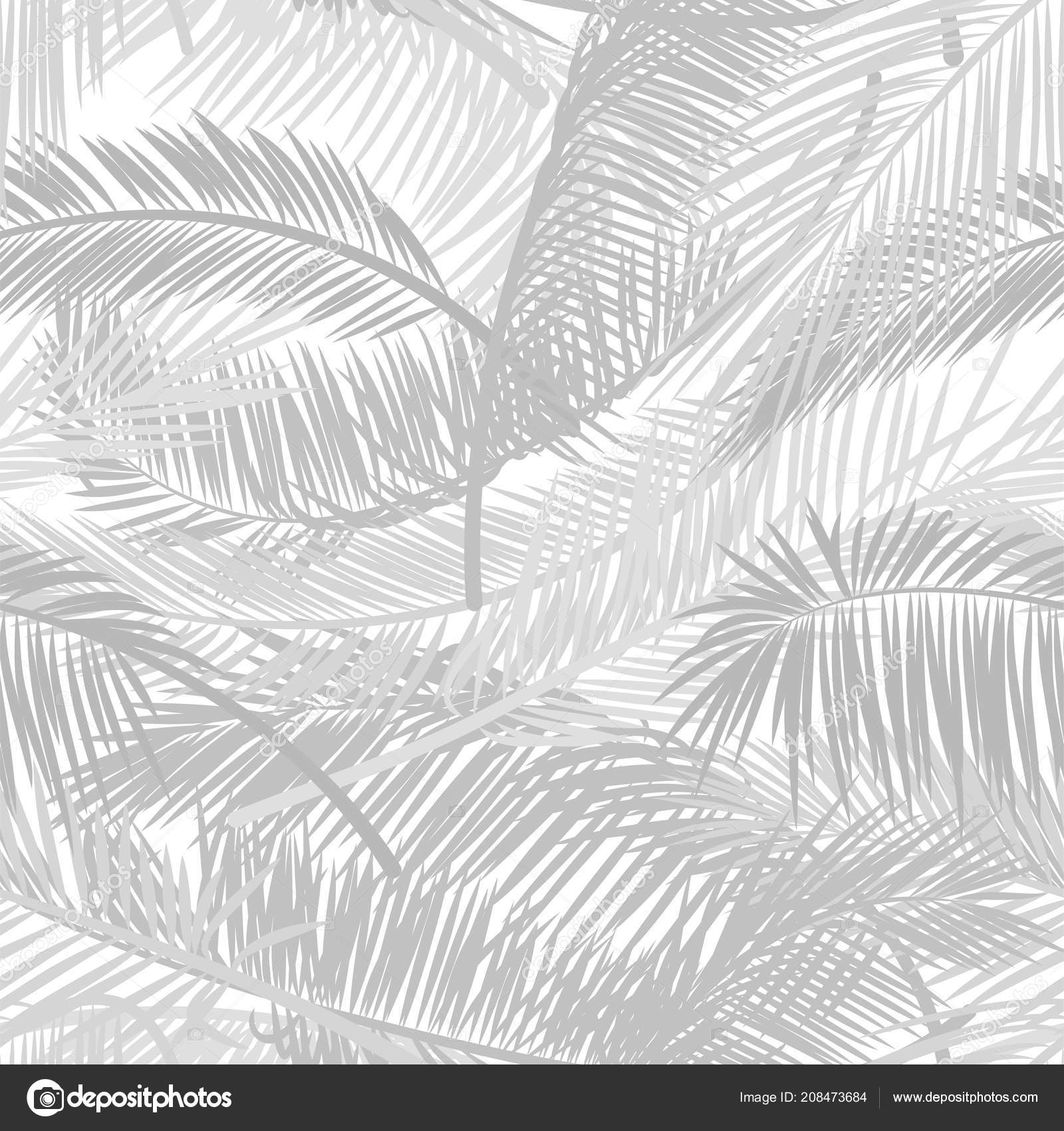 Light gray palm leaves silhouette on the white background. Vector seamless  pattern with tropical plants. Vector pattern for print design, wallpaper,  site backgrounds, postcard, textile, fabric. Stock Vector Image by  ©.com #208473684