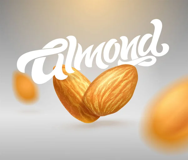 Tipografía Almond Con Ilustración Realista Almendras Caligrafía Moderna Ilustración Plantilla — Vector de stock