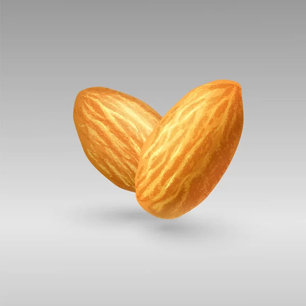 Ilustración Fotorrealista Almendra Voladora Sobre Fondo Gris Nueces Sobre Fondo — Vector de stock