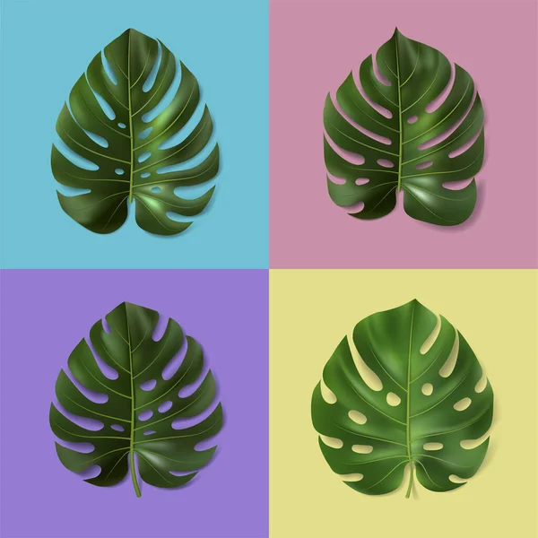 Uppsättning av olika gröna monstera blad isolerade på färgglada bakgrund. 3D vektor illustration. Realistiska tropiska löv. Botanisk mall för inredning, inredning, banner, annons, tapeter, kort. — Stock vektor