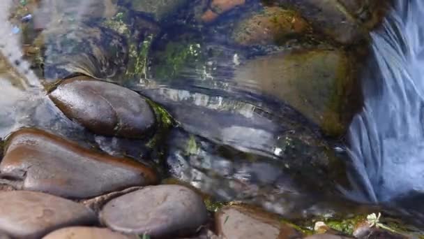 Kleiner Wasserfall Und Klares Wasser — Stockvideo