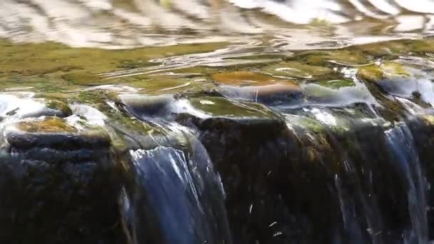 Маленький Водопад Чистая Вода — стоковое видео