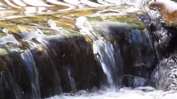 Pequeña Cascada Agua Clara — Vídeos de Stock