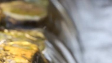 Küçük şelale ve temiz su