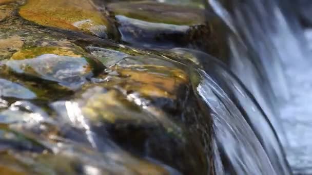 Pequeña Cascada Agua Clara — Vídeos de Stock