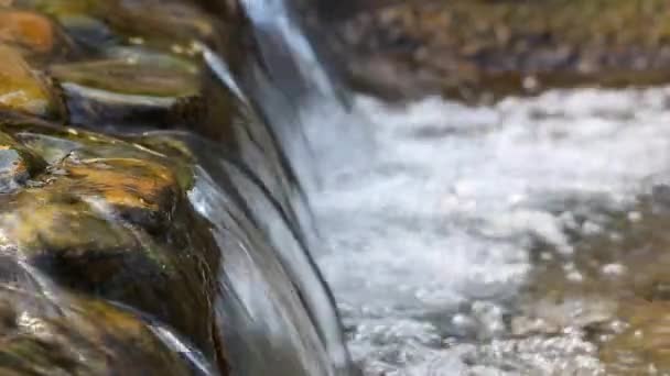 Pequeña Cascada Agua Clara — Vídeos de Stock