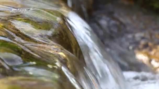 Kleiner Wasserfall Und Klares Wasser — Stockvideo