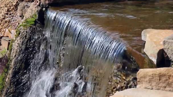 Pequena Cachoeira Água Limpa — Vídeo de Stock