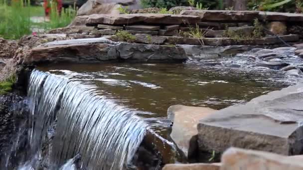 Kleiner Wasserfall Und Klares Wasser — Stockvideo