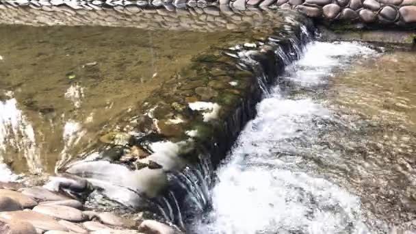 Pequeña Cascada Agua Clara — Vídeos de Stock