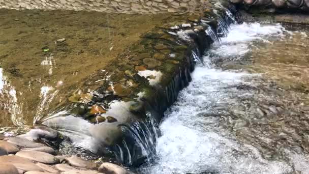 Pequeña Cascada Agua Clara — Vídeo de stock