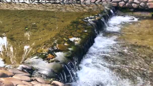 Pequeña Cascada Agua Clara — Vídeos de Stock