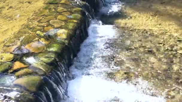 Kleiner Wasserfall Und Klares Wasser — Stockvideo