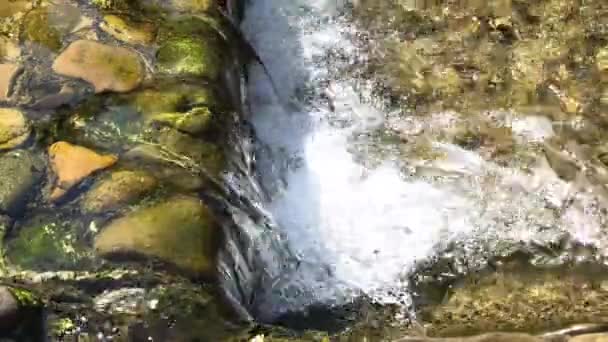 Kleiner Wasserfall Und Klares Wasser — Stockvideo