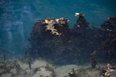 Yaylalarda mavi göl