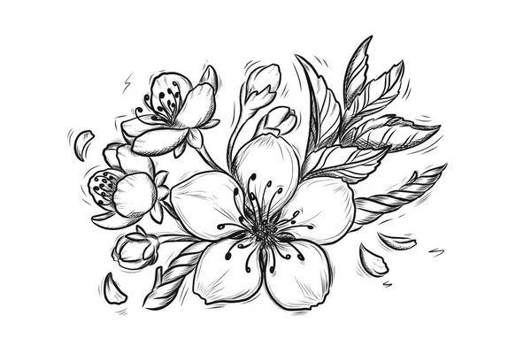 Sakura Spring Sketch Flores Cereza Ilustración Vectorial — Vector de stock