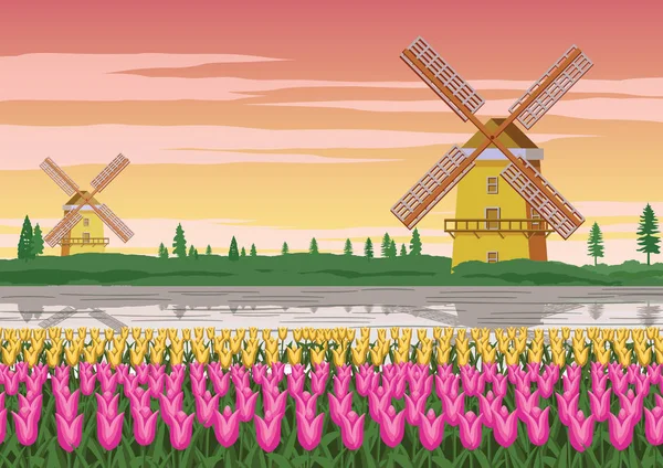 Jardín de tulipanes, famoso símbolo de Holanda y molino de viento alrededor con — Vector de stock