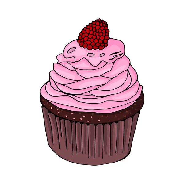 Cupcake Chocolat Avec Crème Rose Framboises Sur Fond Blanc Design — Image vectorielle