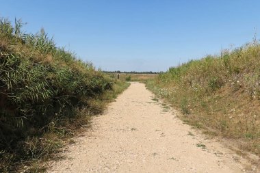 Güneşli gün boyunca kırsal ortamında boş yol