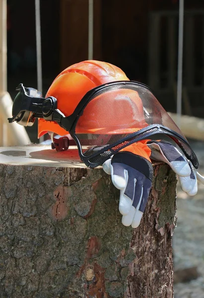 Lumberjack safety gear helmet and gloves on wooden log
