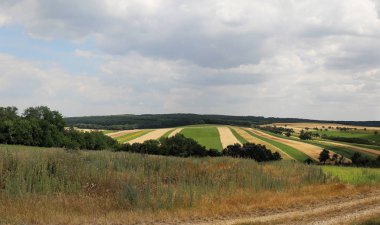 Büyük kırsal yan yol ve mavi gökyüzü bulutlu tarım bitkileri ekili
