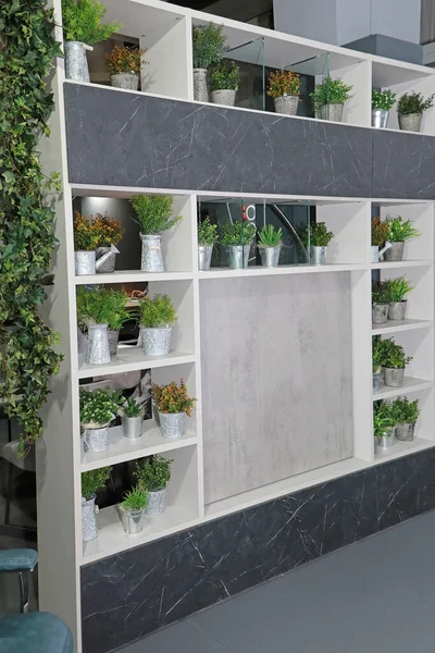 Groene Planten Bloempotten Planken Moderne Binnenruimte — Stockfoto