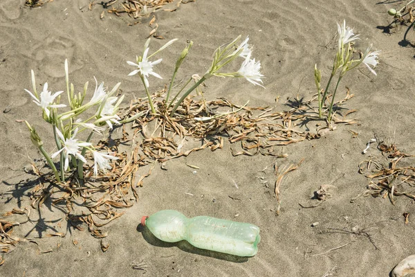 Poluição Material Plástico Praia Areia — Fotografia de Stock