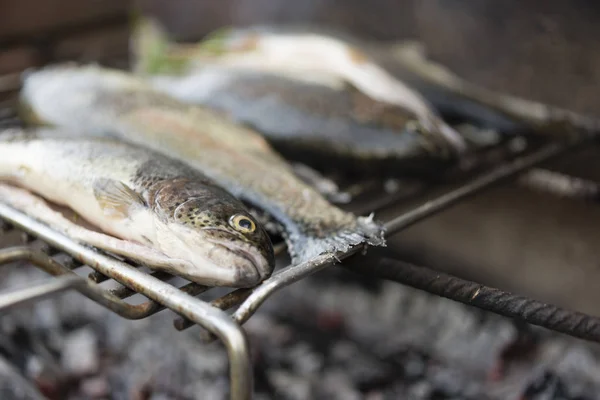 Trout Fish Freshly Caught Ready Cook Wood Barbecue — Stock Photo, Image