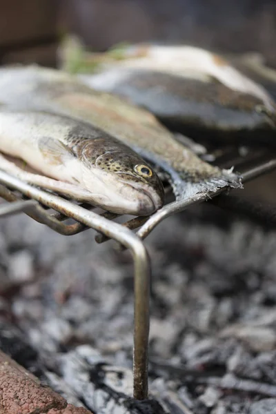 Trout Fish Freshly Caught Ready Cook Wood Barbecue — Stock Photo, Image