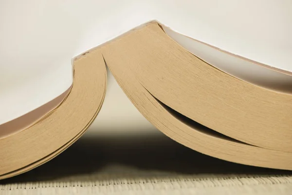 Detail of open book with dog-ears bookmarks.