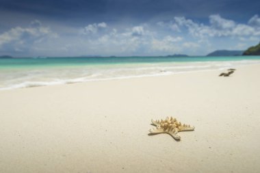 Ufuk mavi gökyüzü ve beyaz kum güzel tropikal plaj zemin üzerine deniz yıldızı. Yaz konsepti.