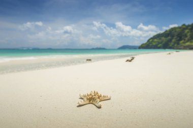 Ufuk mavi gökyüzü ve beyaz kum güzel tropikal plaj zemin üzerine deniz yıldızı. Yaz konsepti.