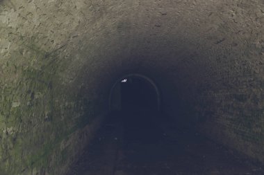Tunel in ruins of Trakanov Fort, Rivne Region, Ukraine clipart