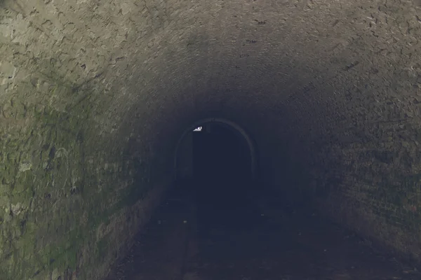 Túnel Ruinas Del Fuerte Trakanov Región Rivne Ucrania — Foto de Stock