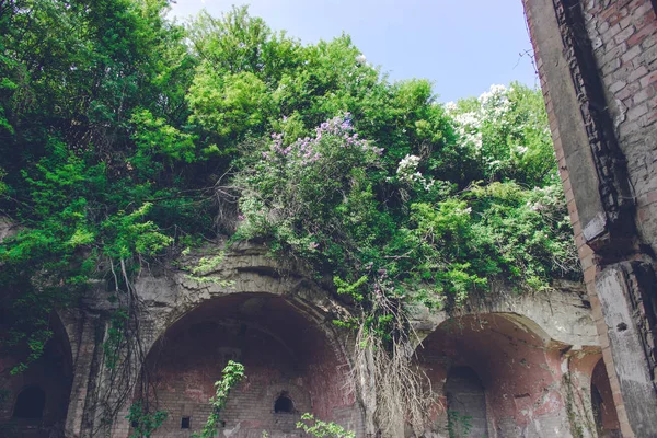 Ruinas Del Fuerte Trakanov Región Rivne Ucrania —  Fotos de Stock