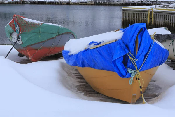 Bateaux Pêche Enneigés Dans Les Régions Rurales Terre Neuve — Photo