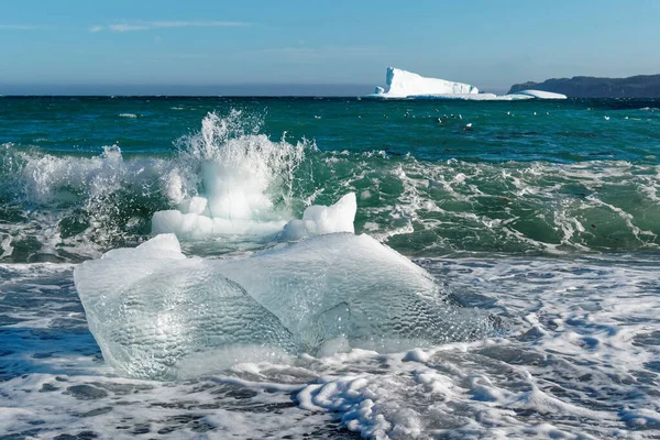 在加拿大纽芬兰省和拉布拉多半岛 冰山的一小部分已经破裂并冲刷在海滩上 — 图库照片