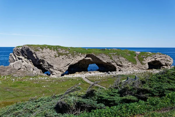 Archi Prodotti Dall Erosione Oceanica Nella Penisola Settentrionale Terranova Labrador — Foto Stock