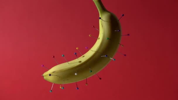Banana with colorful pins — Stock Video