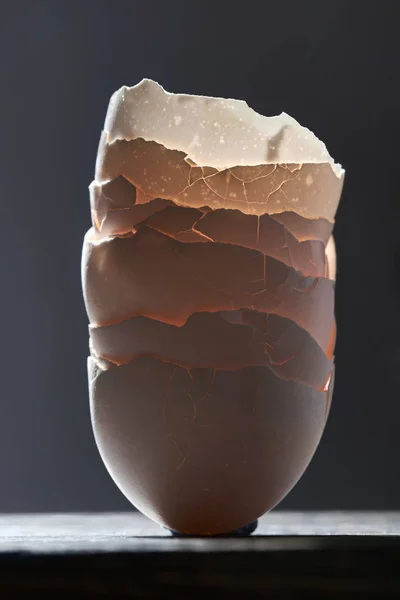 Яєчні шкаралупи один в одного — стокове фото