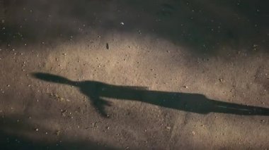 Güzel balerin açık havada dans